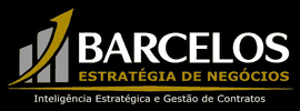 Barcelos Estratégia de Negócios